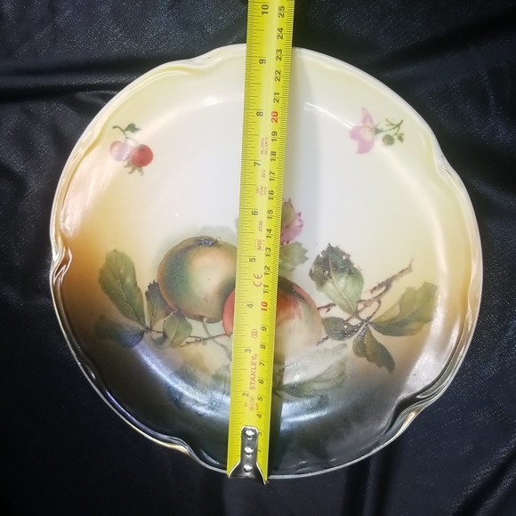 Antique J & C Louise Bavaria Apple Plate - Picture 5 of 14